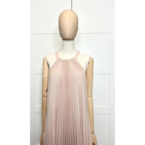 BCBG Max Azria Blush Maxi Dress, Size Small - Picture 6 of 10